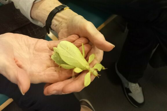 Natur begreifen TZ Oriongasse im Haus des Meeres 1