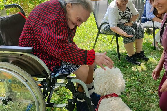 Hundetherapie TZ Winarskystraße 11