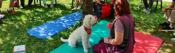 Hundetherapie TZ Winarskystraße 3