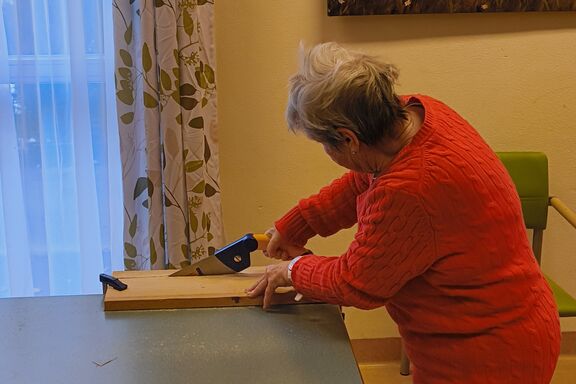 Oriongasse Tischlerei 1